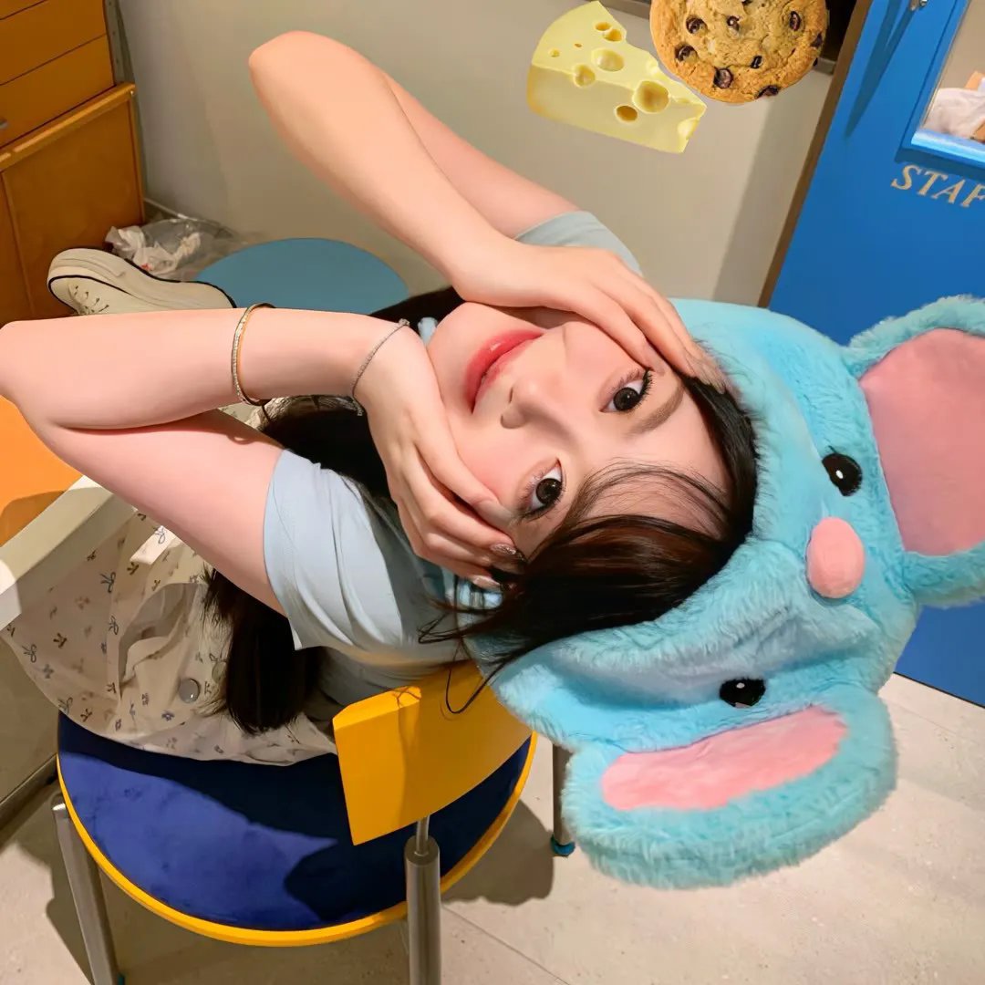 生命的圆圈 海报