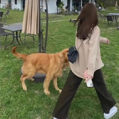 2048:无处可逃 海报